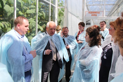 Пчёлы — это не только сладкий мёд...