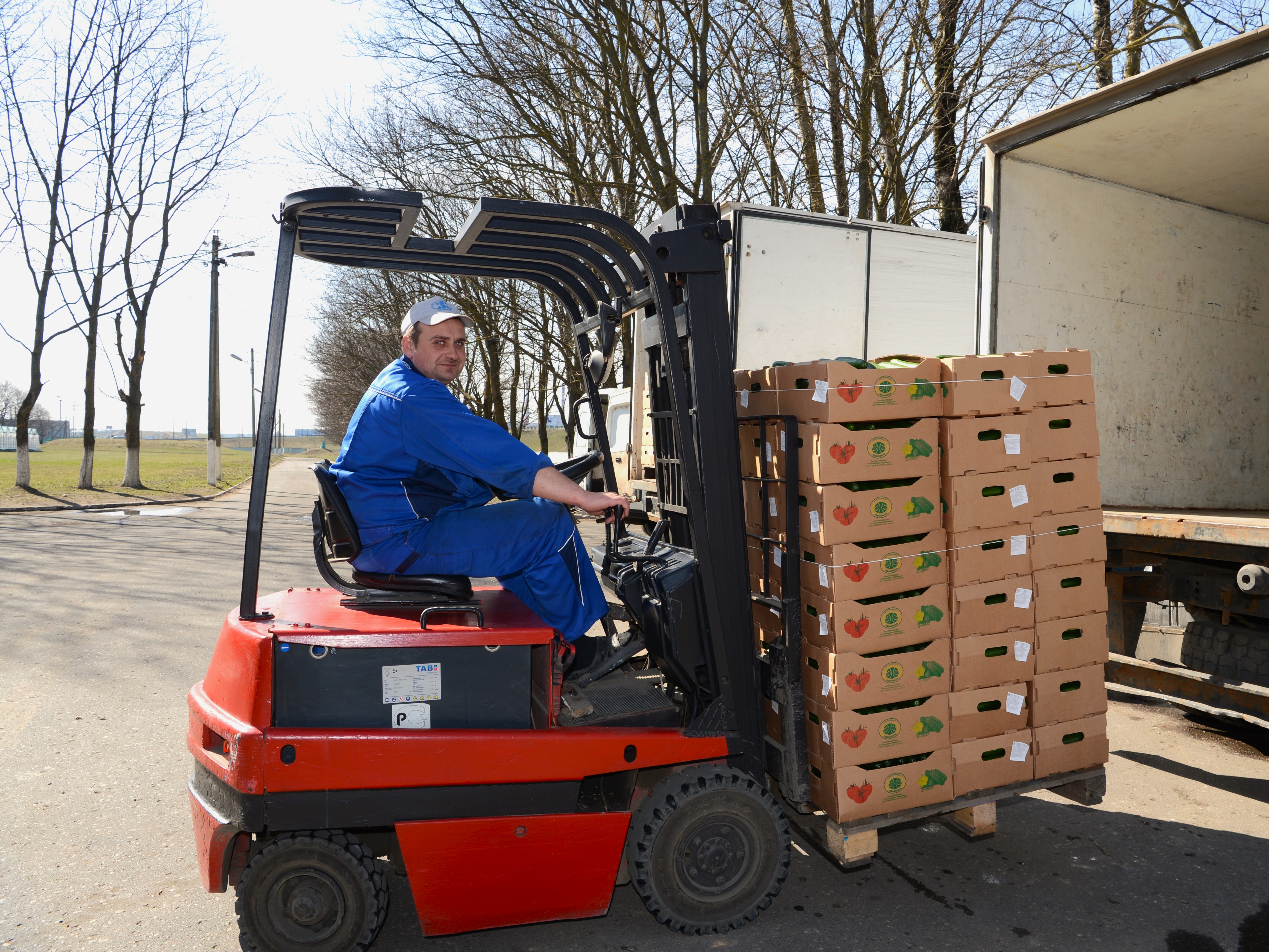 Зерновые поля агрокомбината