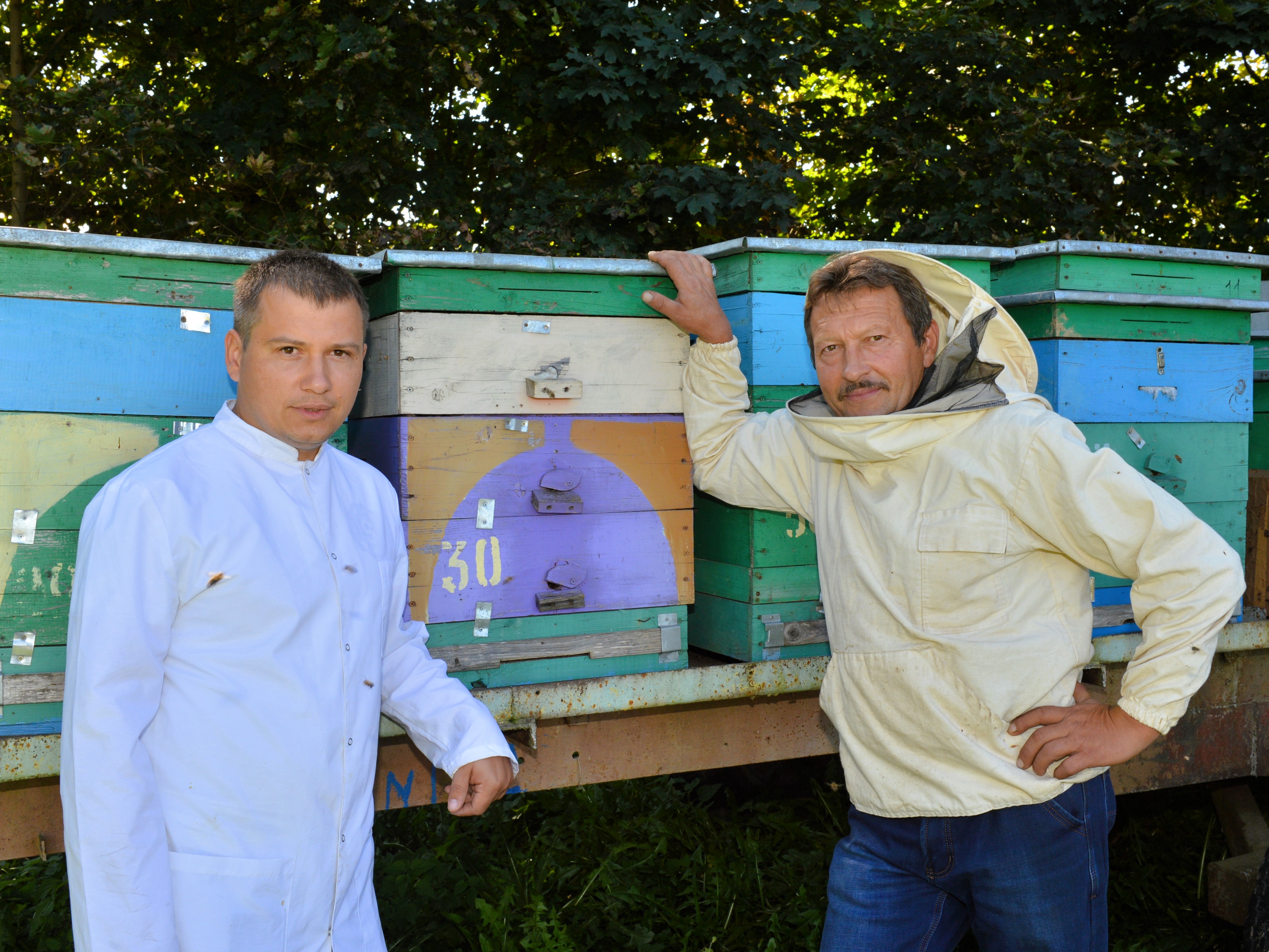 Зерновые поля агрокомбината