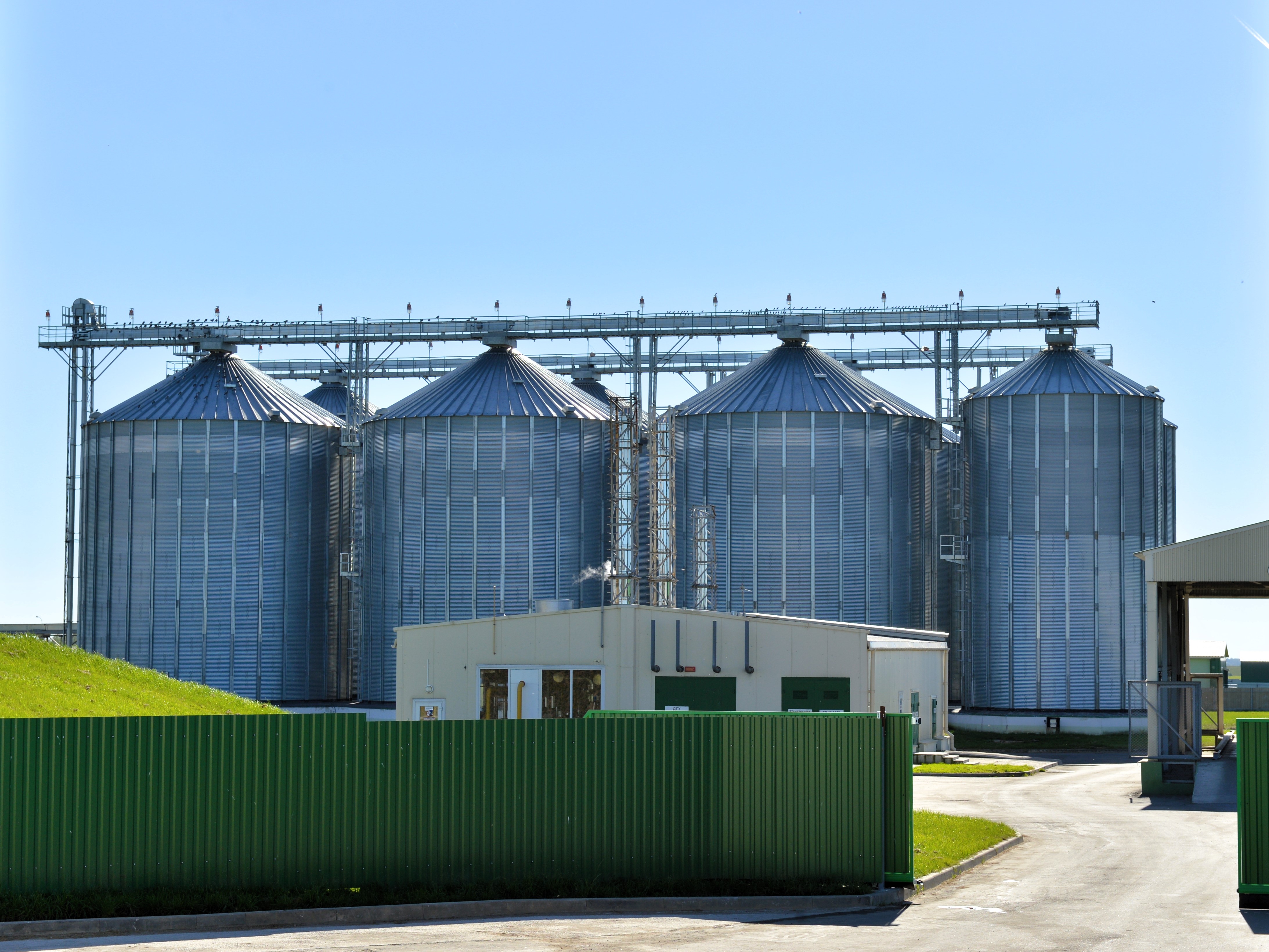 Свинокомплекс - современные технологии содержания