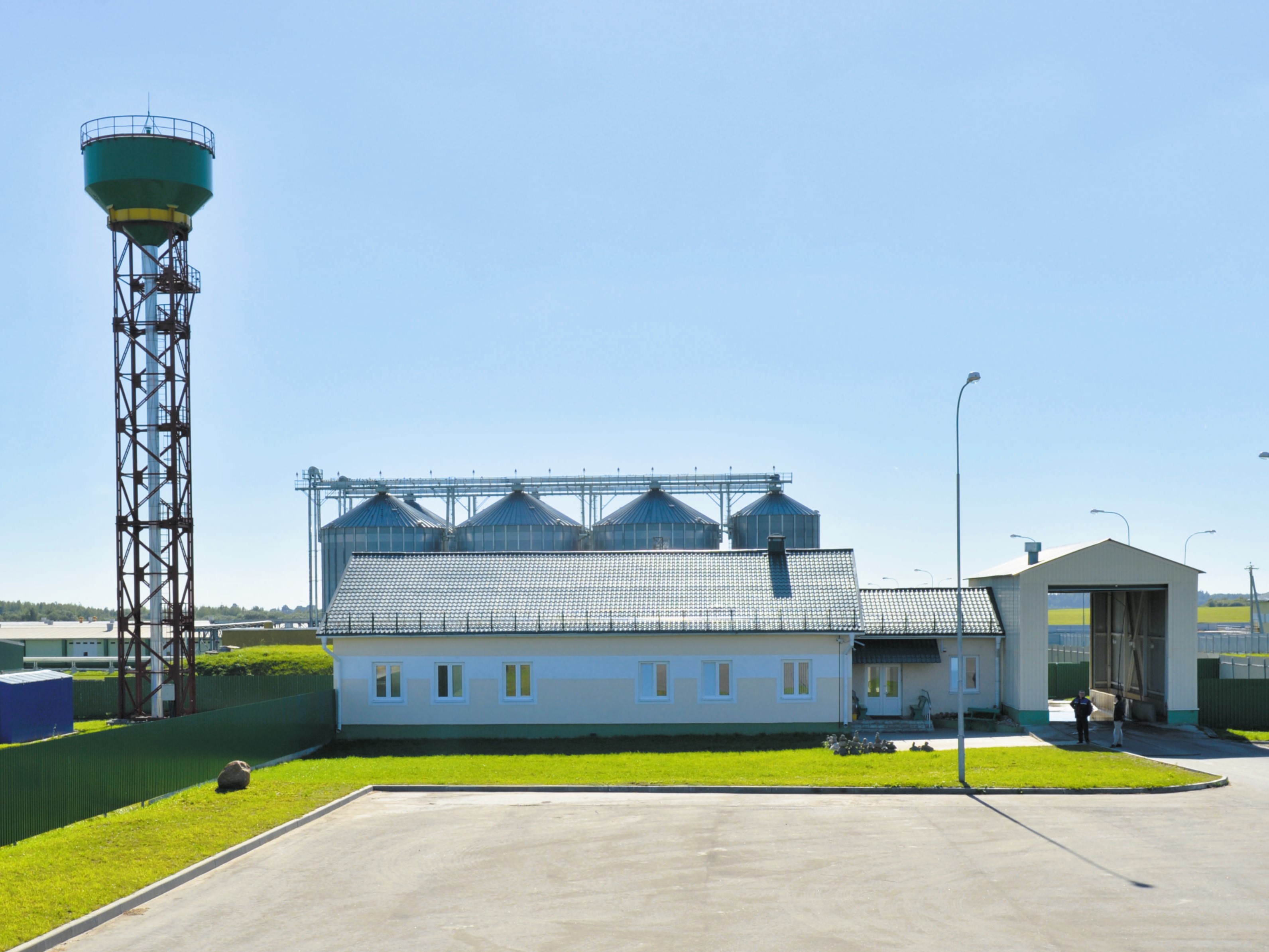 Высокотехнологичное производство свинины