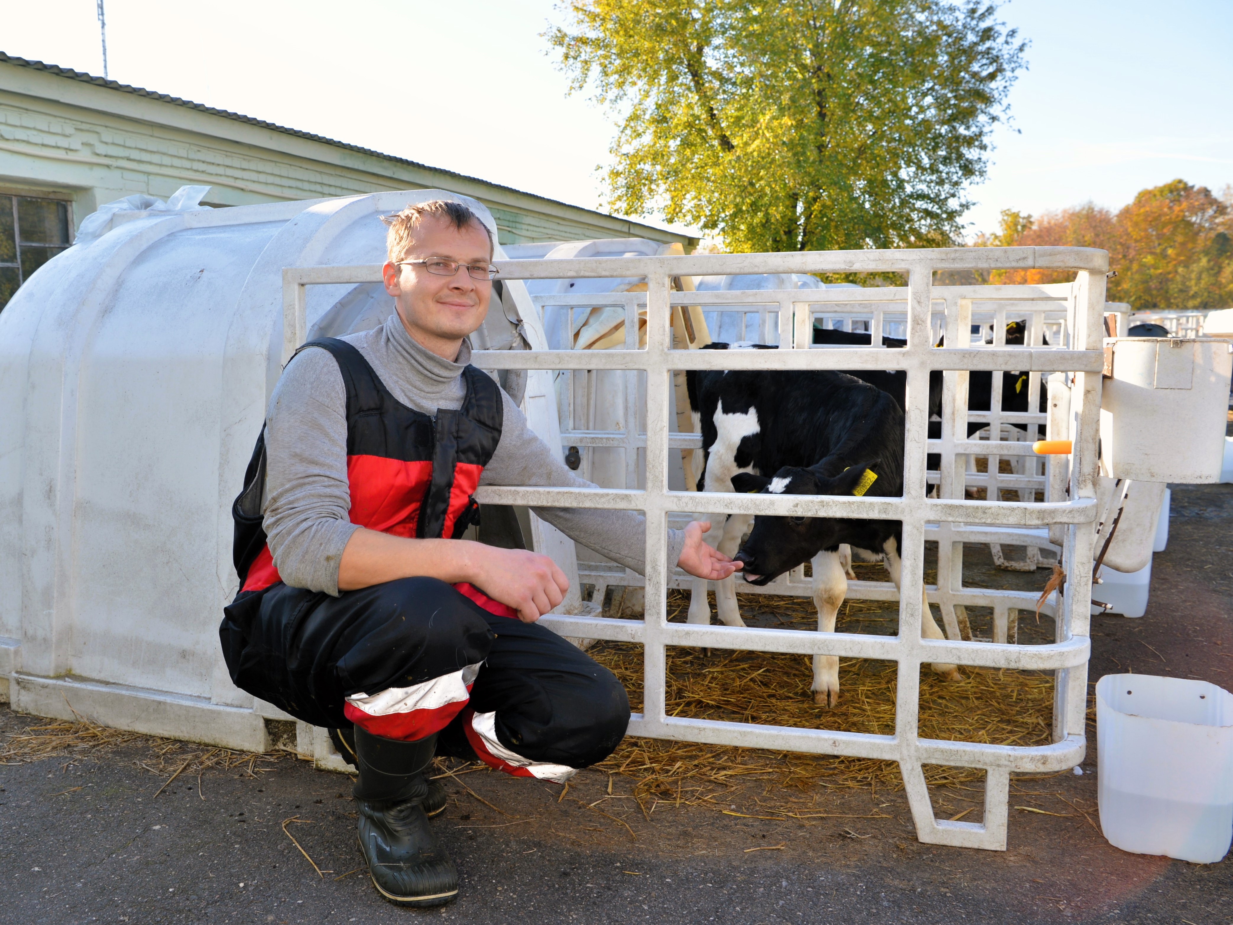 Современное доильное оборудование